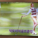 빅토리아골프연습장