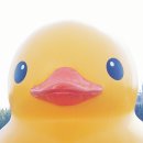 덕