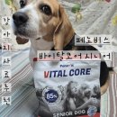 대한사료 | 강아지사료추천 페노비스 바이탈코어 시니어 먹은 후기