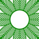 국화라이프 이미지