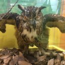 양평곤충박물관 이미지