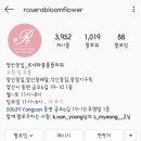 로세라블룸플라워