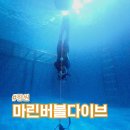 다이브투데이 | 창원프리다이빙 마린버블다이브 부산프리다이빙강습 덕다이빙 이퀄라이징 체험