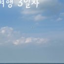 와사비 호테루 이미지