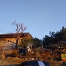오봉로 10번길 네이버블로그