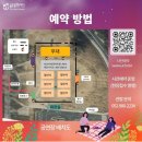 울주 피크닉 콘서트 유월의 밤 이미지