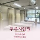 홍주늘푸른안마원 | 장산역마사지 푸른지압원 척추교정 후기 | 해운대지압원