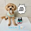 주식회사 펫과의 동행 | 치카치카쿨 스프레이