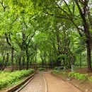 푸름공원 이미지