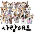 수연헤어 이미지