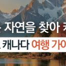 (주)일렉트릭아일랜드 이미지