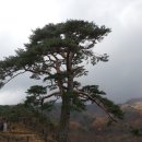 산내면 반선마을 Daum카페