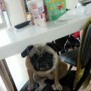 삼무공원 이미지