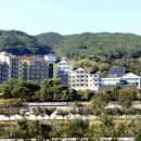 The 산수유 이미지