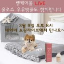 팜스펫 이미지
