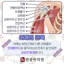 원광좋은한의원 이미지