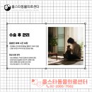 올스타동물의료센터 이미지