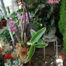 석곡농장 이미지