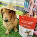 (주)우리덴탈 이미지