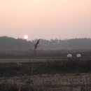 SK협진주유소 이미지