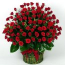 제일밋숀 이미지