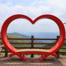 청옥산민박 | 운무 속 샤스타데이지 천국! 평창 청옥산 육백마지기에서 만난 영화 같은 순간