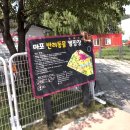 일석자동차시스템 | 🐕 삼식이의 서울 여름 물놀이 대작전! [마포 반려동물 캠핑장] 댕댕이 물놀이' 후기