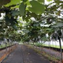 김형환농장 이미지