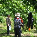 은식농장 이미지