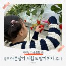 충주 행복한 농장 | 충주 아이와 가볼만한곳 🍓 아론딸기 체험 : 겨울 실내 나들이로 딱! (딸기피자&amp;아이스크림)
