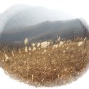 장안산군립공원 Daum카페