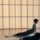 만두카 프로 매트 와사비 LE (한정판) 구매후기 / 요가원에 개인 매트 두는 요린이가 되었어요!