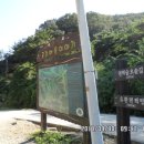 상관편백숲편의점