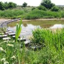 자채방아마을 이미지