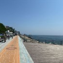 묵호항수변공원 이미지