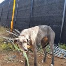 해안관광로 이미지