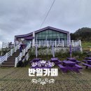 반월 Daum카페
