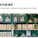 카피카피 이미지