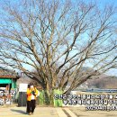 마재농원 이미지