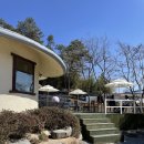 월출향가 이미지