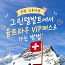 VIP우리약국 | 스위스 신혼여행 그린델발트에서 융프라우 VIP패스로 가는 방법 | 신라면, 린트초콜릿