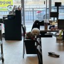 송정지구 | [오봉냉삼부산밀면] 군포 송정지구 맛집·솔직후기