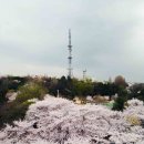 도화초등학교.수봉도서관(37366) | 인천 수봉공원 스카이워크 개장! 파노라마 뷰로 보는 서울근교 노을 명소(주차/꿀팁)