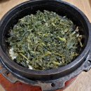 웰빙마을 | 정선 민둥산역 앞 곤드레밥 맛집, &lt;웰빙한방마을&gt; 후기