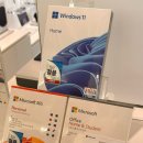 MS소프트 | [가전] LG 그램 프로 16인치 개봉_마이크로소프트 윈도우 OS/MS 오피스 구입 후기