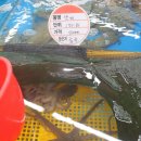 거제 옥포 조개와 낙지 해산물 포장 맛집 삼삼해물 옥포수산센터
