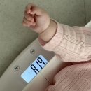 육아일기: 드디어 이유식 시작!🍚 / 경의선숲길 나들이 / 땅콩오빠랑 신나게 놀기 🥜 / 코니감사제 폭풍쇼핑