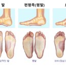 보타닉필라테스&발레핏