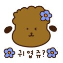 앤애견샵 이미지