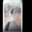 골드트리
